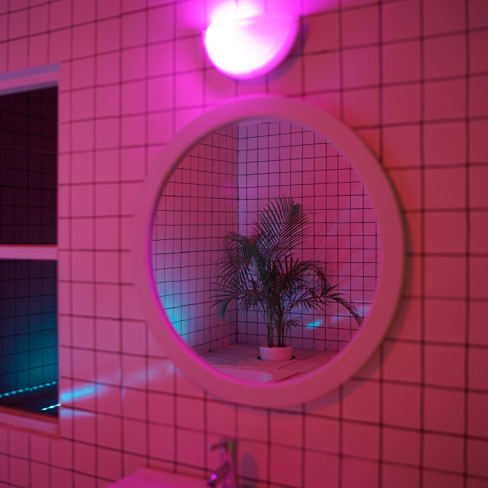 RGB LIGHT - Image 3